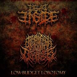 Operation Cunt Destroyer : Low Budget Lobotomy